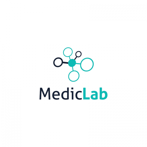 logo #234846