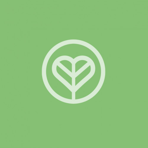 design of lemondesign