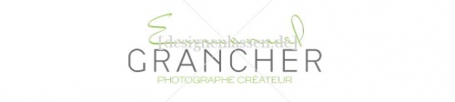 design of rramos