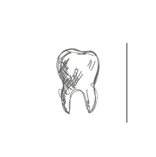 design of KD Berlin