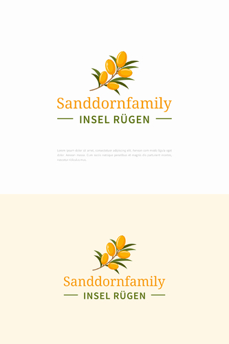 design of CorporateDesigner