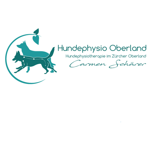  Logo & Social Media Paket für Hundephysiotherapie