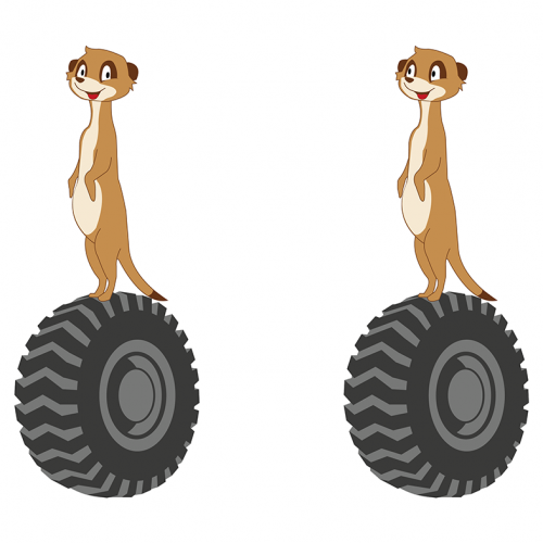 design of racoon Design