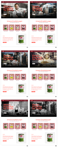 Webdesign für industrielle Produktion von Suppen, Saucen, Bouillons und Konzentraten