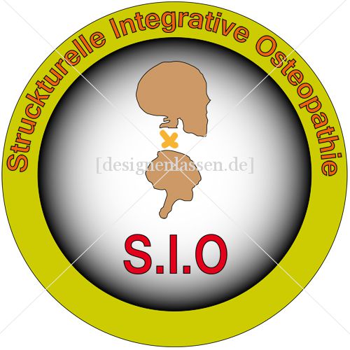 design of dsnws