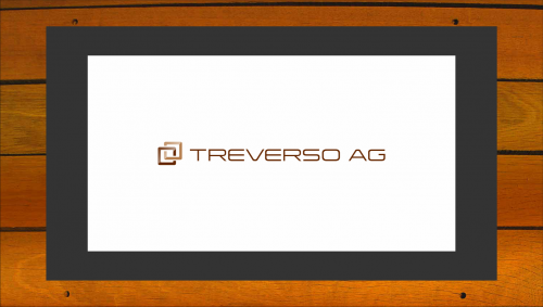  TREVERSO AG sucht Logo + Visitenkartendesign