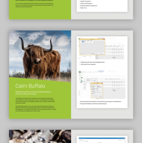 IT-Dienstleister für Projektmanagementsoftware sucht Broschüre im DIN-A4-Format