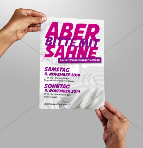 design of flyerbauer