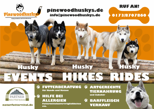 Plakat-Design für Husky-Wanderungen