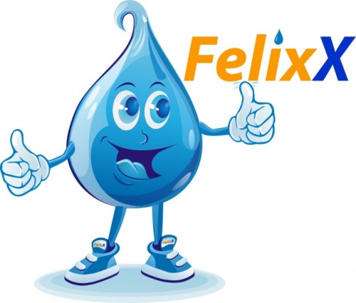 Gestaltung eines Maskottchens mit dem Namen FelixX