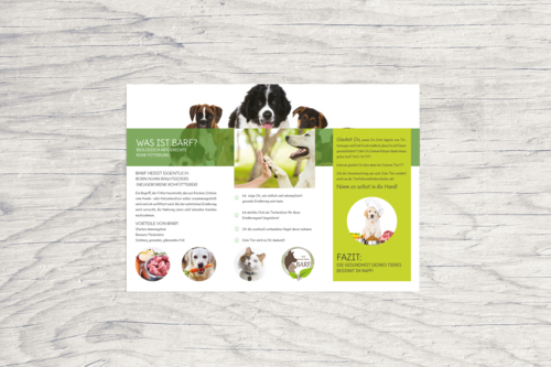 Flyer-Design für Ernährungsberaterin für Hunde und Katzen