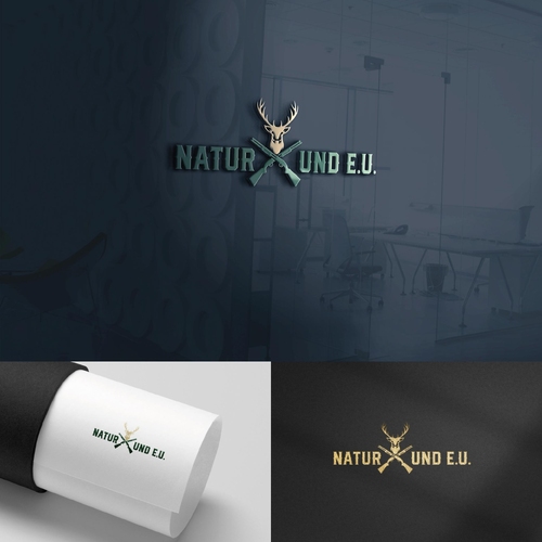 design of NAQSA