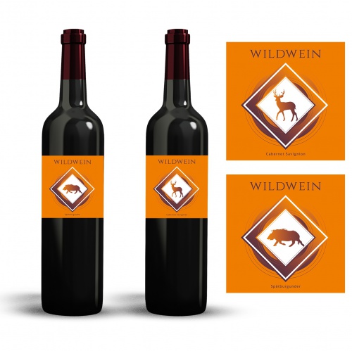 design of ce graphics