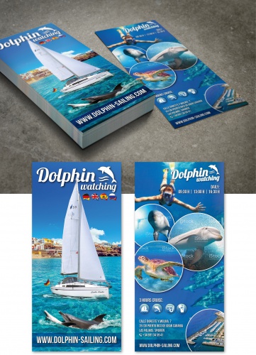 Flyer-Design für Angebot von Segelboot-Fahrten zur Delfinbeobachtung