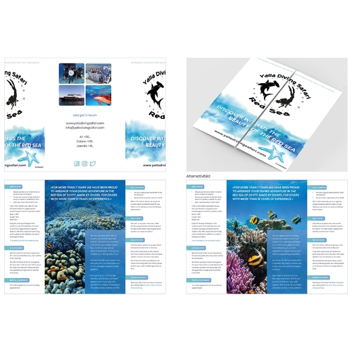 Flyer-Design für Tauchsafaris, Vollcharter und Mini Safaris am roten Meer